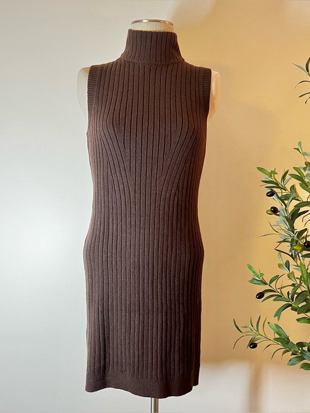 Sleeveless chocolate Brown Ribbed mock neck Knit Dress